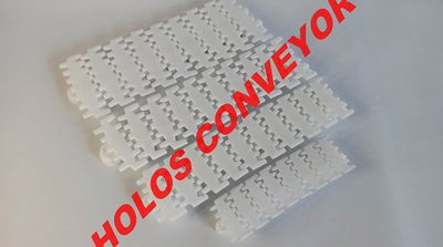 柔性鏈板輸送機(jī)流水線(xiàn)有什么特點(diǎn)？